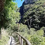 Candalla 4* קמאיורה