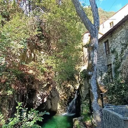 Candalla 4*