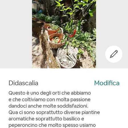 招待所 Candalla *