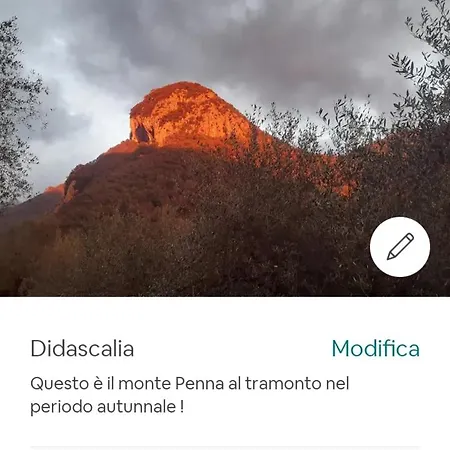 Candalla Camaiore