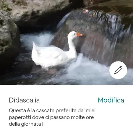 Candalla *