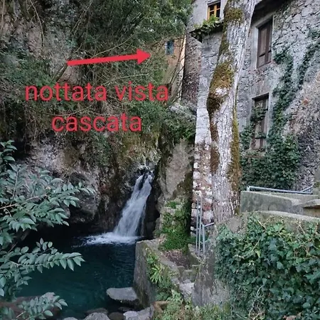 Candalla * 卡麦奥雷
