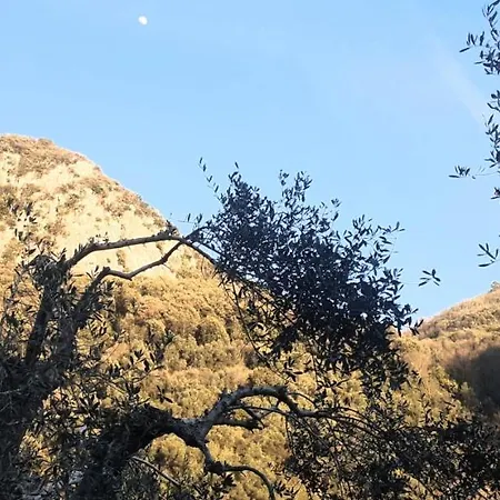 Candalla Camaiore
