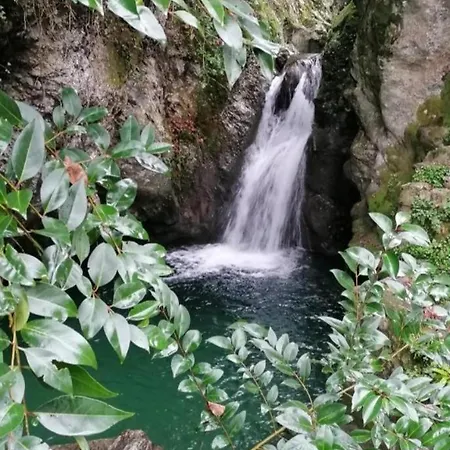 Candalla ゲストハウス カマイオーレ