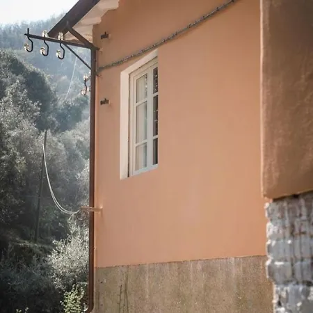 Candalla Camaiore