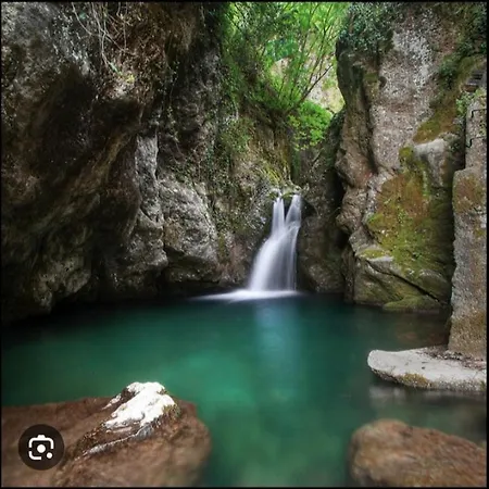 Candalla 卡麦奥雷