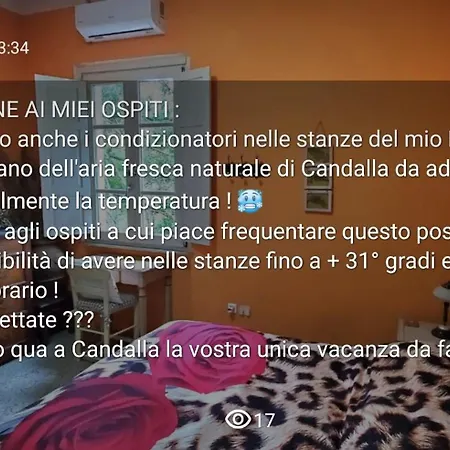 Candalla * Camaiore