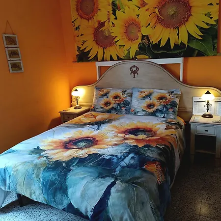 Candalla 4* Camaiore