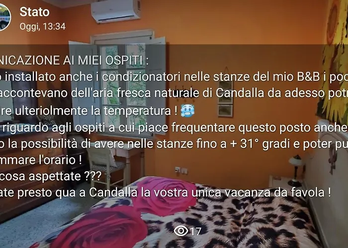 Candalla 4* Camaiore